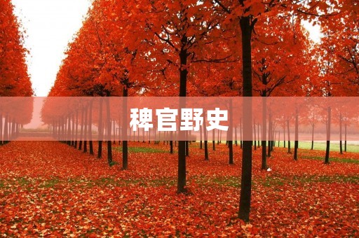稗官野史：清朝官场黑暗面的真实揭露