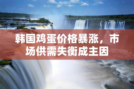 韩国鸡蛋价格暴涨,市场供需失衡成主因
