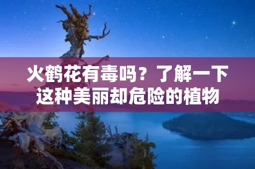 火鹤花有毒吗?了解一下这种美丽却危险的植物