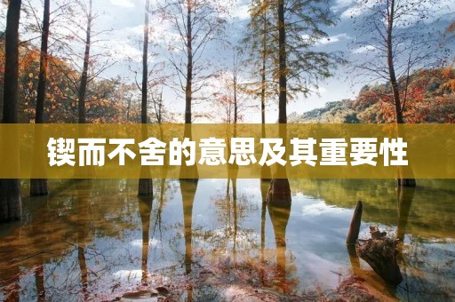 锲而不舍的意思及其重要性