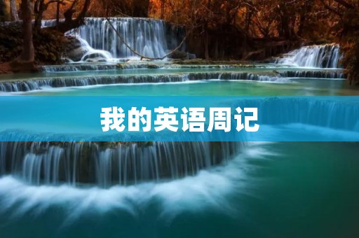 我的英语周记