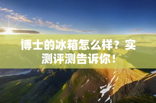 博士的冰箱怎么样?实测评测告诉你! 博士的冰箱怎么样?实测评测告诉你!