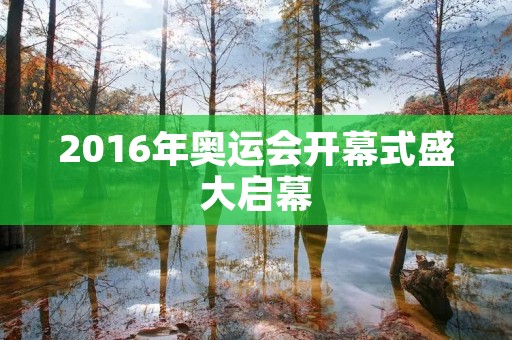 2016年奥运会开幕式盛大启幕 2016年奥运会开幕式盛大启幕