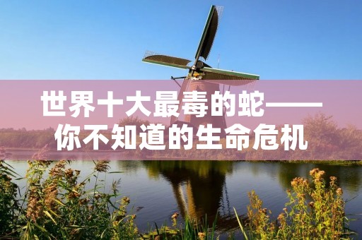 世界十大最毒的蛇——你不知道的生命危机