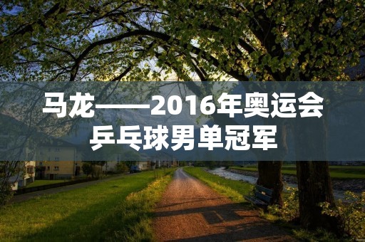 马龙——2016年奥运会乒乓球男单冠军