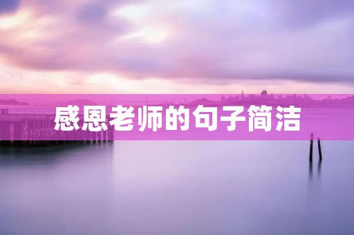 感恩老师的句子简洁