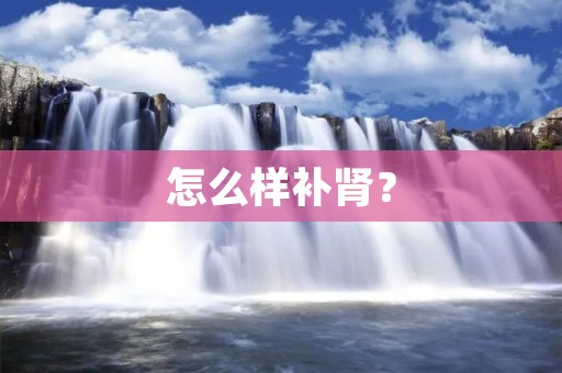 怎么样补肾？