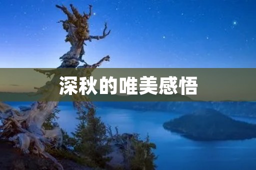 深秋的唯美感悟