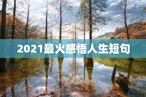 2021最火感悟人生短句 2021最火感悟人生短句