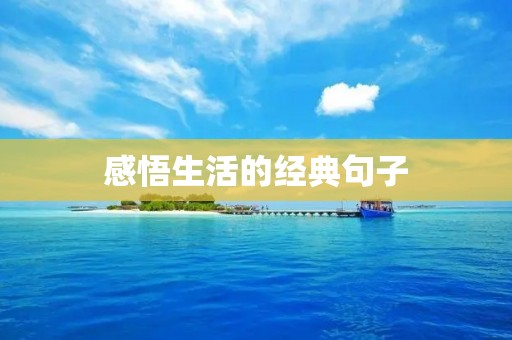 感悟生活的经典句子