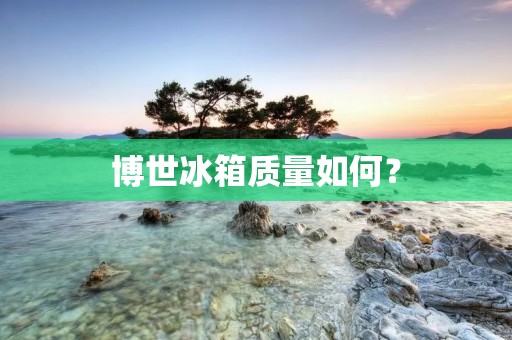博世冰箱质量如何？