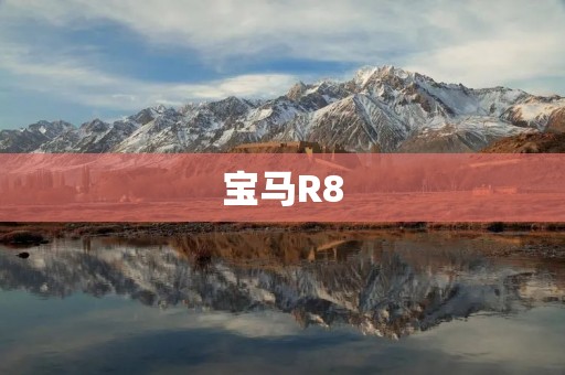 宝马R8：全新跑车震撼上市！