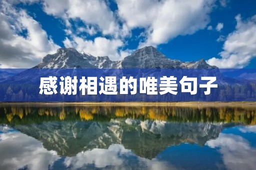 感谢相遇的唯美句子