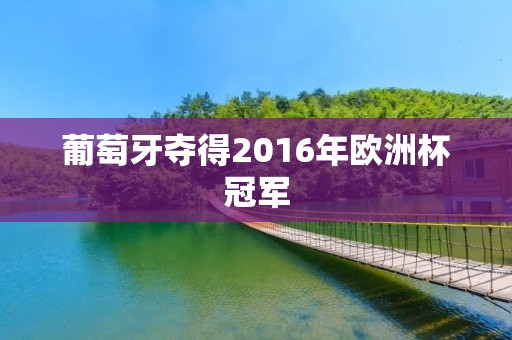 葡萄牙夺得2016年欧洲杯冠军