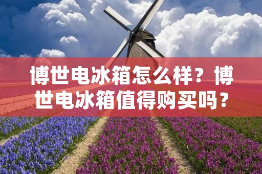 博世电冰箱怎么样？博世电冰箱值得购买吗？