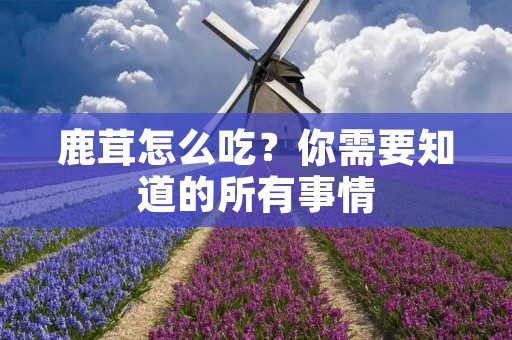 鹿茸怎么吃？你需要知道的所有事情