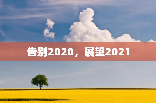告别2020，展望2021