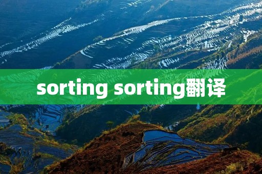 sorting sorting翻译