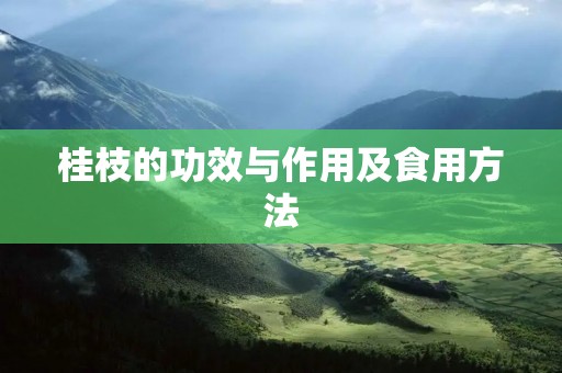 桂枝的功效与作用及食用方法
