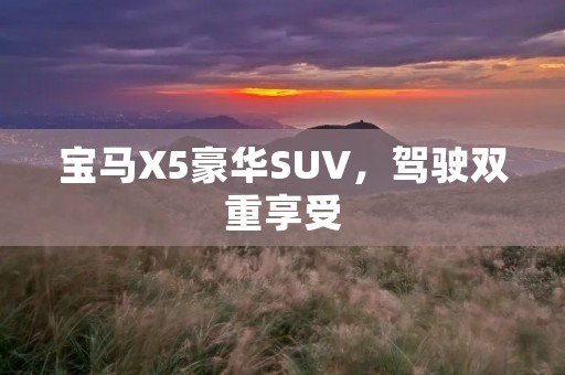 宝马X5豪华SUV,驾驶双重享受 宝马X5豪华SUV,驾驶双重享受