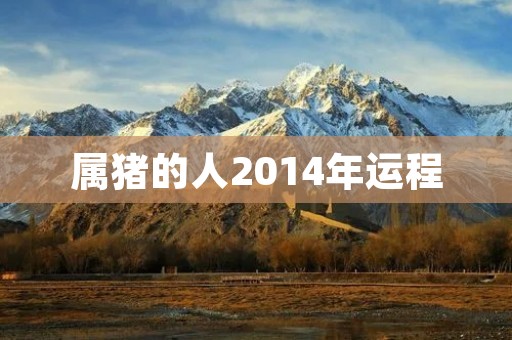属猪的人2014年运程