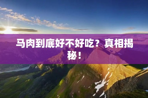 马肉到底好不好吃?真相揭秘!