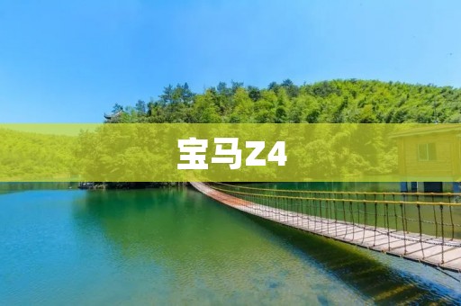 宝马Z4:一款极具运动性能的豪华跑车 宝马Z4:一款极具运动性能的豪华跑车