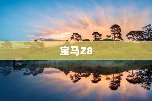 宝马Z8:经典与现代的完美结合 宝马Z8:经典与现代的完美结合