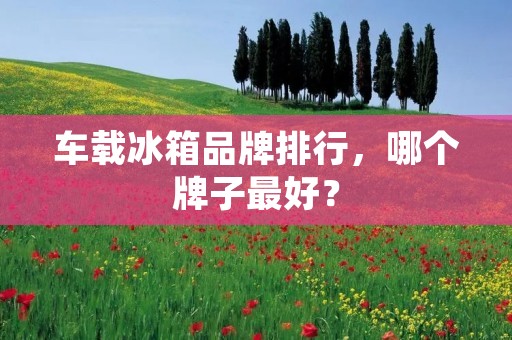 车载冰箱品牌排行,哪个牌子最好? 车载冰箱品牌排行,哪个牌子最好?
