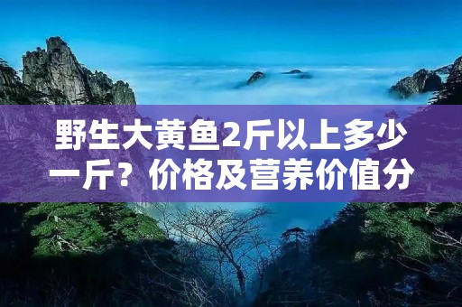 野生大黄鱼2斤以上多少一斤?价格及营养价值分析