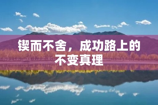 锲而不舍,成功路上的不变真理
