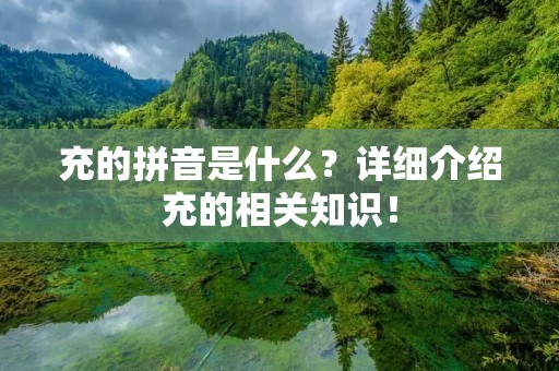 充的拼音是什么？详细介绍充的相关知识！