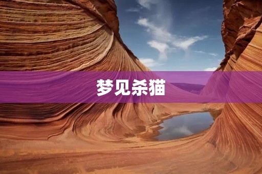 梦见杀猫:不吉之兆还是神秘的预示?