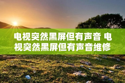 电视突然黑屏但有声音 电视突然黑屏但有声音维修多少钱