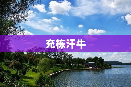 充栋汗牛:如何应对信息爆炸时代的信息过剩? 充栋汗牛:如何应对信息爆炸时代的信息过剩?