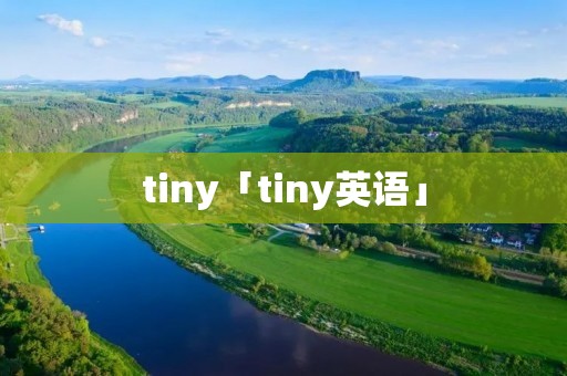 tiny「tiny英语」