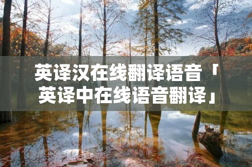 英译汉在线翻译语音「英译中在线语音翻译」