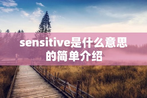 sensitive是什么意思的简单介绍 sensitive是什么意思的简单介绍