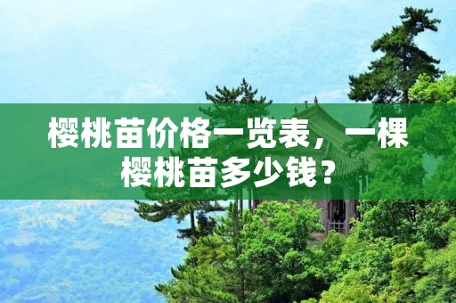 樱桃苗价格一览表,一棵樱桃苗多少钱?