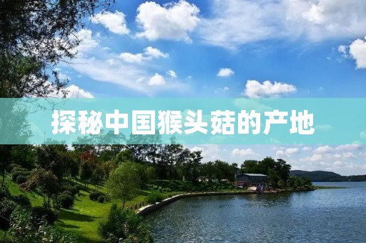 探秘中国猴头菇的产地