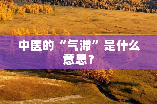 中医的“气滞”是什么意思？