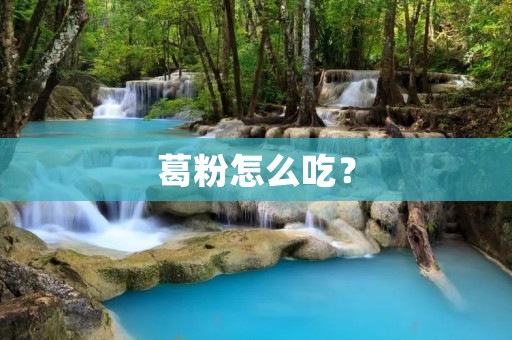 葛粉怎么吃? 葛粉怎么吃?
