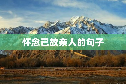 怀念已故亲人的句子