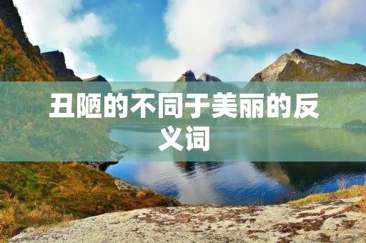 丑陋的不同于美丽的反义词 丑陋的不同于美丽的反义词