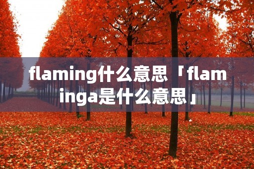 flaming什么意思「flaminga是什么意思」