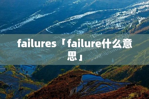 failures「failure什么意思」