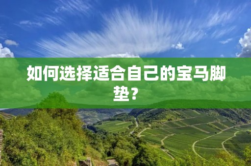 如何选择适合自己的宝马脚垫？