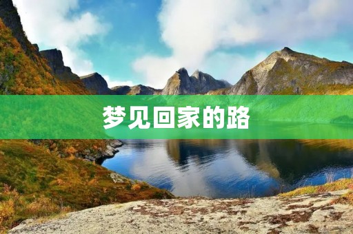 梦见回家的路