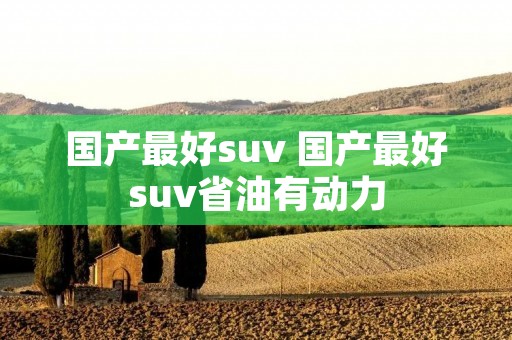 国产最好suv 国产最好suv省油有动力