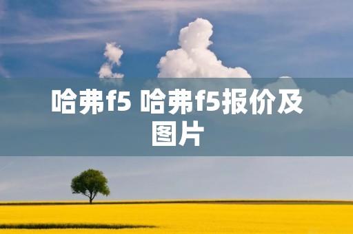 哈弗f5 哈弗f5报价及图片 哈弗f5 哈弗f5报价及图片